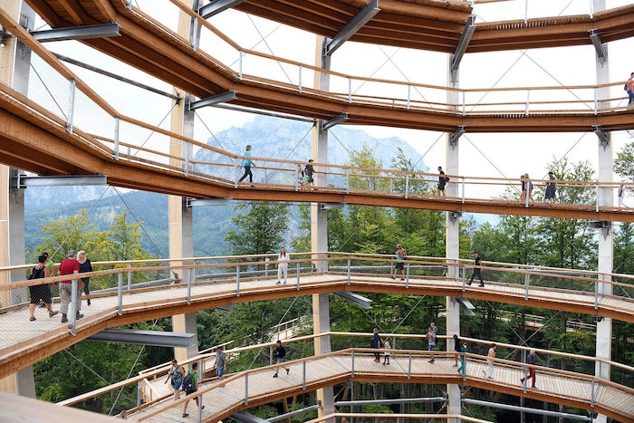 Entlang des Baumwipfelpfads in Gmunden sind Kürbisse versteckt. Wer an der Suche teilnimmt, kann ...