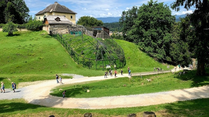Zwei Kinder wurden im Tierpark Rosegg von Tieren angegriffen.