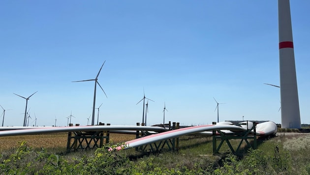 Die Riesen von heute bringen ein Mehrfaches der Leistung, bei annähernd gleichem Platzbedarf.