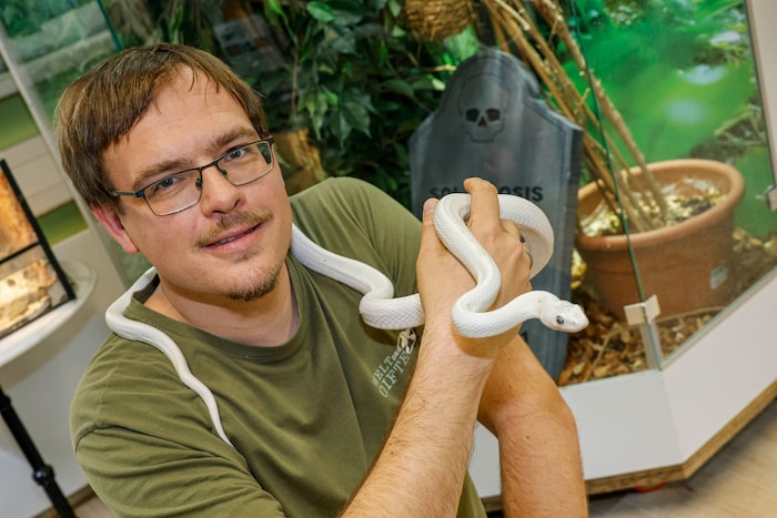 „Welt der Gifte“-Chef Nils Kley mit – ausnahmsweise ungiftiger – Texas Kükennatter