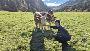 Bis die Kühe von Marlene Suntinger die idyllische Weidefläche nutzen können, müssen sie unter ...