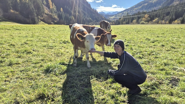 Bis die Kühe von Marlene Suntinger die idyllische Weidefläche nutzen können, müssen sie unter ...