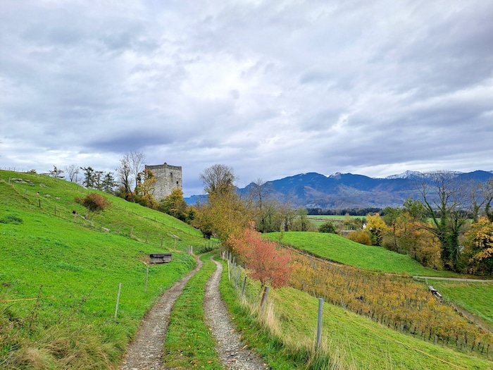Unterwegs am Blattenberg.