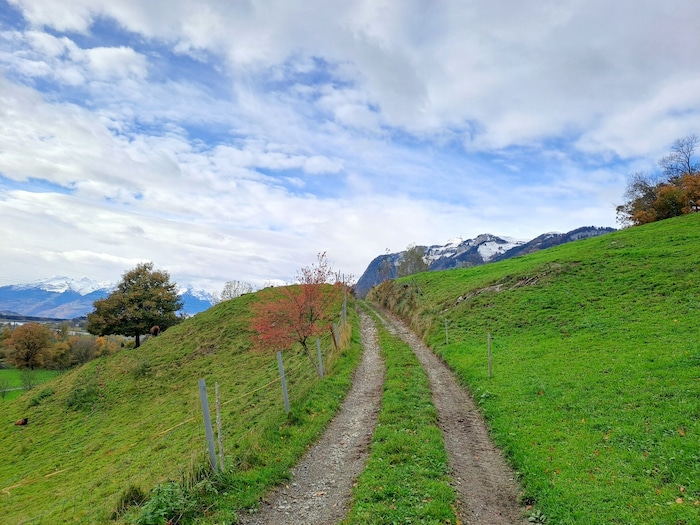 Blick Richtung Alpstein.