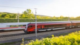 Die Polizisten schnappten den gesuchten Verbrecher im Zug.