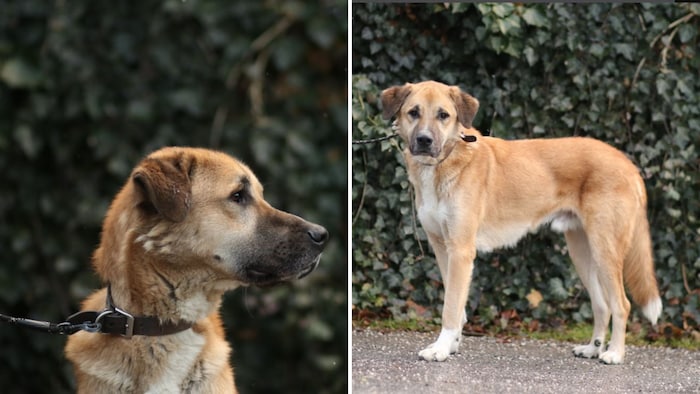 Ein neuer Lebensabschnitt beginnt!