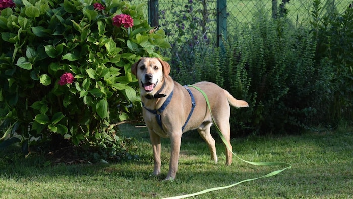 „Neo“, ein Freund fürs Leben!