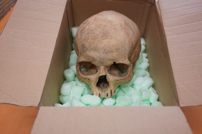 The skull of a stranger now found its way back into St. Stephen's Cathedral.