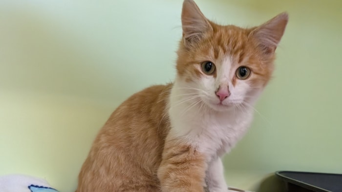 Kleines Kerlchen auf Entdeckungstour.