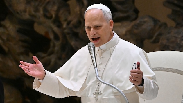 Der Papst betonte, dass echter Fortschritt nur möglich sei, wenn die Würde des Menschen oberste ...