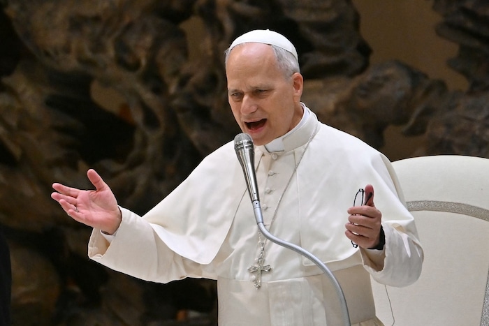 Papst Leo XIV. gilt als „Kämpfer gegen Armut, Umweltzerstörung und Ungerechtigkeit“.