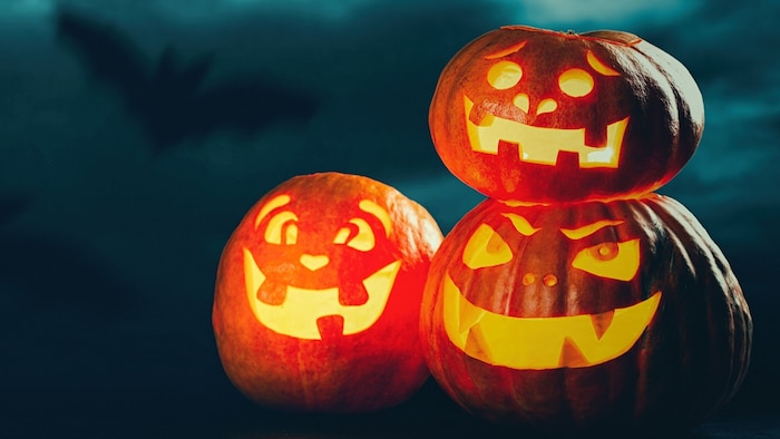 Gehören zu Halloween unbedingt dazu: Kürbisse!