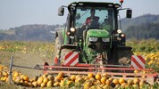 Die Ernten fielen heuer in der Steiermark durchwachsen aus, vor allem bei unserer Leitkultur ...
