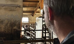 Landwirt Andreas Goritschnig blickt zum Unfallort. 