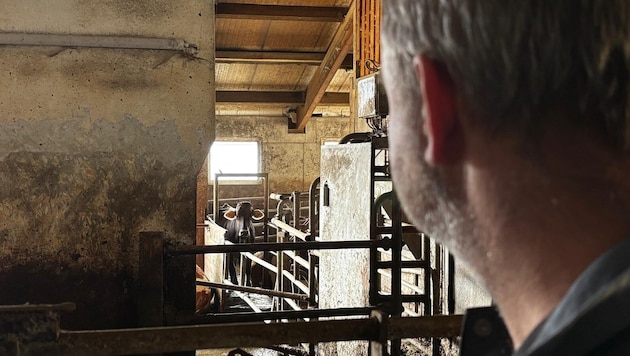 Landwirt Andreas Goritschnig blickt zum Unfallort.