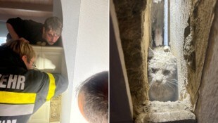 Die Feuerwehrkräfte aus Fürstenfeld wurden zu Lebensrettern.