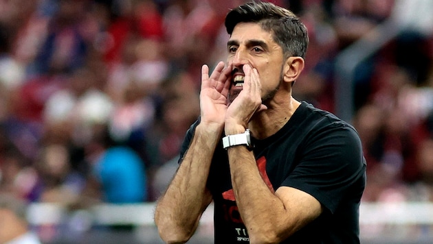 Veljko Paunovic ist ab sofort neuer Sebischer Teamchef.