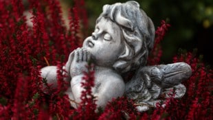 Zu Allerheiligen werden wir uns alle der Endlichkeit alles Irdischen bewusst. 