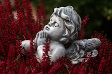 Zu Allerheiligen werden wir uns alle der Endlichkeit alles Irdischen bewusst. 