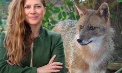 Jennifer Hatlauf verfolgt seit Jahren die Spuren des Goldschakals in Österreich.