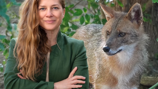 Jennifer Hatlauf verfolgt seit Jahren die Spuren des Goldschakals in Österreich.