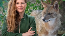 Jennifer Hatlauf verfolgt seit Jahren die Spuren des Goldschakals in Österreich.