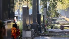 Nebel, Sonne, Wolken, Regen. Was hat das Allerheiligen-Wochenende zu bieten?