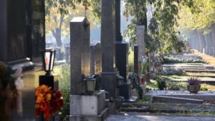 Nebel, Sonne, Wolken, Regen. Was hat das Allerheiligen-Wochenende zu bieten?