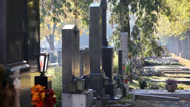 Nebel, Sonne, Wolken, Regen. Was hat das Allerheiligen-Wochenende zu bieten?