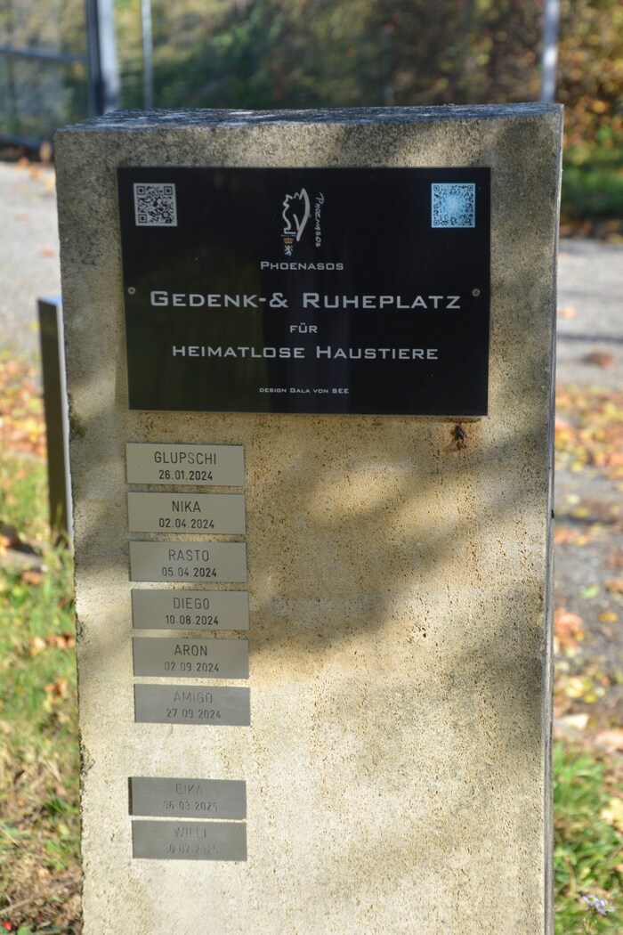 Einige Tiere sind im Sozialgrab bereits zur Ruhe gelegt worden.