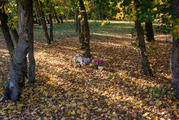Kleinigkeiten und dezente Schilder auf den Bäumen zeigen, dass hier jemand begraben ist.