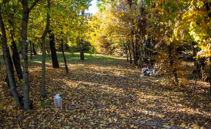 Eine letzte Ruhestätte, die zum Spazieren einlädt.