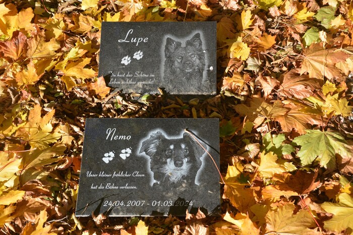 „Lupe“ und „Nemo“ haben hier ihren Platz gefunden.