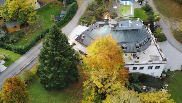 Diese Tanne wird bald den Residenzplatz schmücken