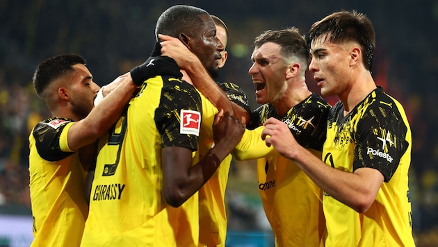 Schwarz-Gelbe Jubeltraube