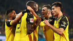 Schwarz-Gelbe Jubeltraube