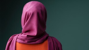 2025 wurde das Gesetz mit den Stimmen von FPÖ, ÖVP, SPÖ und NEOS beschlossen.