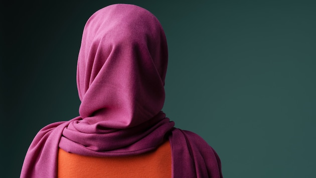 2025 wurde das Gesetz mit den Stimmen von FPÖ, ÖVP, SPÖ und NEOS beschlossen.