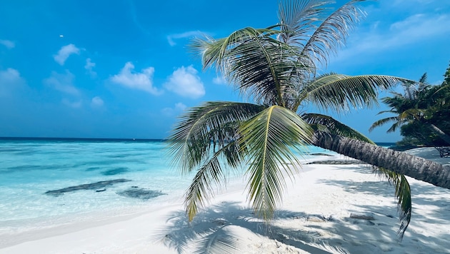 Die Malediven verbieten das Rauchen für alle, die ab 2007 geboren sind.