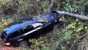 Der junge Lenker kam von der Fahrbahn ab