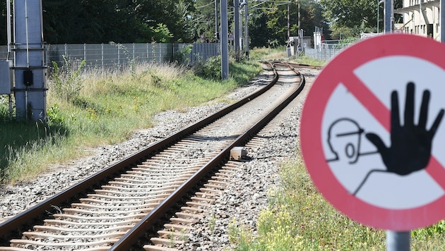 Der Lokführer konnte nicht mehr rechtzeitig bremsen (Archivbild).