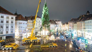 Kommt ein Christbaum geflogen: Mit Kränen wurde die 28 Meter hohe Fichte Montagfrüh am Grazer ...