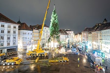 Kommt ein Christbaum geflogen: Mit Kränen wurde die 28 Meter hohe Fichte Montagfrüh am Grazer ...