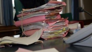 Die beiden in U-Haft sitzenden Pädophilen müssen sich im Jänner 2026 vor Gericht verantworten. ...