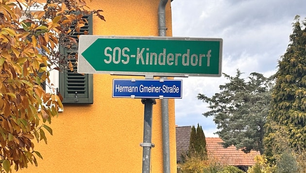 Die vorläufigen Spendeneinnahmen von SOS-Kinderdorf Österreich für das Vorjahr liegen deutlich ...