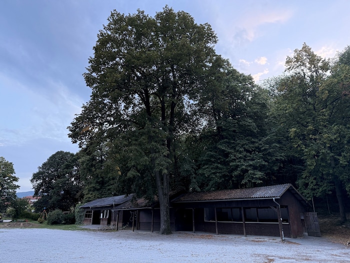 Der Rintpark ist unter Frohnleitnern als Erholungsraum bekannt.