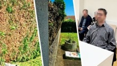 Diese Hecke in der Donaustadt wurde vom Angeklagten zu stark zurückgeschnitten. 