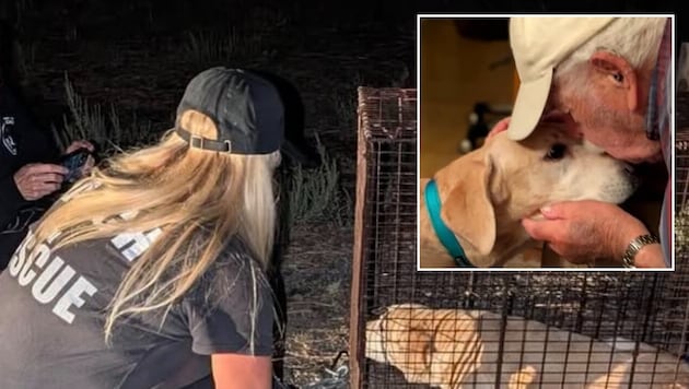 Weil Herrchen starke Schweißfüße hat, fand „Sunny“ doch wieder ihren Weg nach Hause.