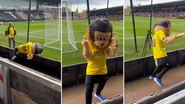 Da hat das Maskottchen wohl etwas über den Durst hinausgetrunken.