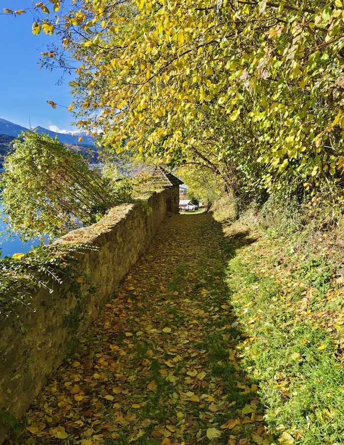 Die historischen Mauern des Barbara Egger-Parks